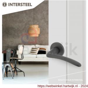 Intersteel Living 0466 deurkruk Zaia met geveerde kunststof rozet met nokken diameter 50x7 mm grijs - H26009976 - afbeelding 2