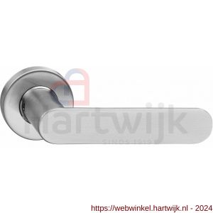 Intersteel Living 0643 deurkruk Massief strak-elegant op rozet met ring met veer RVS - H26000514 - afbeelding 1