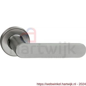 Intersteel Living 0643 gatdeel deurkruk Massief strak-elegant op rozet met ring met veer RVS - H26000777 - afbeelding 1