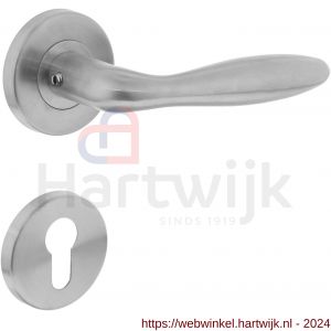 Intersteel Living 1013 deurkruk Jupiter op rond rozet met profielcilindergat plaatje RVS - H26005495 - afbeelding 1