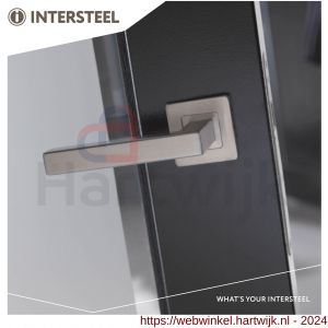 Intersteel Essentials 1249 deurkruk Vierkant op rozet vierkant dubbel geveerd RVS - H26000616 - afbeelding 3