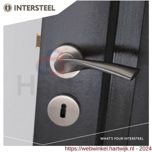 Intersteel Essentials 1279 deurkruk Vlinder op geveerde stalen rozet met nokken diameter 53x8 mm RVS EN 1906/4 - H26000620 - afbeelding 3