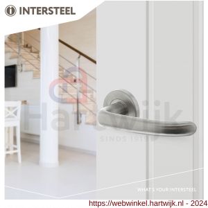 Intersteel Essentials 1282 deurkruk Sabel op geveerde stalen rozet met nokken diameter 53x8 mm RVS EN 1906/4 - H26000634 - afbeelding 3