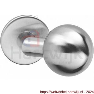 Intersteel 2165 knop bol-schuin vast op rozet verdekt 4 mm RVS - H26001000 - afbeelding 1
