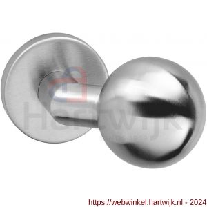 Intersteel 2165 knop bol-schuin vast op rozet verdekt 10 mm RVS - H26007404 - afbeelding 1