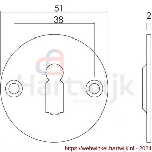 Intersteel Living 3409 sleutelplaatje diameter 50x2 mm RVS - H26002617 - afbeelding 2