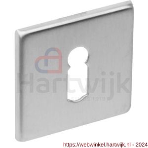Intersteel Essentials 3432 sleutelplaatje staal verdekt vierkant 50x50x5 mm RVS - H26005916 - afbeelding 1