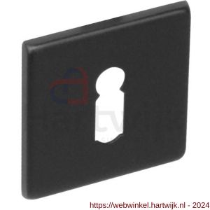 Intersteel Essentials 3433 sleutelplaatje staal verdekt vierkant 50x50x5 mm RVS zwart - H26005919 - afbeelding 1