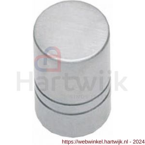Intersteel Essentials 8510 meubelknop recht diameter 13 mm RVS - H26007868 - afbeelding 1