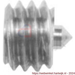 Intersteel 9904 inbusbout gepunt M6x5 mm voor kruk diameter 16mm - H26000839 - afbeelding 1