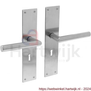 Intersteel Essentials 0583 deurkruk Jura met langschild 250x55x2 mm SL 56 mm RVS - H26007142 - afbeelding 1