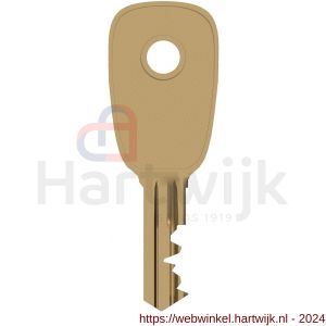 SecuMax 832 raamgrendel met slot en sleutel bruin sleutel draai-kiep - H50750372 - afbeelding 1