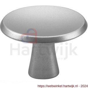 Hermeta 3751 meubelknop rond 30 mm met bout M4 naturel - H20101903 - afbeelding 1