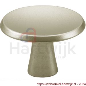 Hermeta 3751 meubelknop rond 30 mm met bout M4 nieuw zilver EAN sticker - H20101062 - afbeelding 1