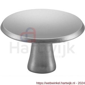 Hermeta 3752 meubelknop rond 35 mm met bout M4 naturel - H20101904 - afbeelding 1