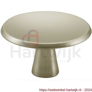 Hermeta 3753 meubelknop rond 40 mm met bout M4 nieuw zilver EAN sticker - H20101070 - afbeelding 1