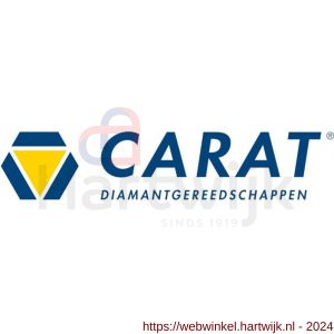 Carat diamant steenzaagmachine T-6010 Laser 400 V - H32600605 - afbeelding 4