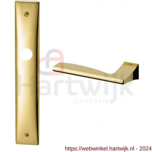 Mandelli1953 1030L Link deurkruk gatdeel linkswijzend op langschild 240x40 mm blind messing gepolijst - H21015609 - afbeelding 1