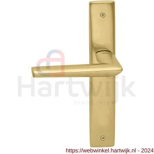 Mandelli1953 1080L Isi deurkruk gatdeel linkswijzend op langschild 240x40 mm blind mat messing - H21015373 - afbeelding 1
