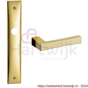 Mandelli1953 1160R Telis deurkruk gatdeel rechtswijzend op langschild 240x40 mm blind messing gepolijst - H21015630 - afbeelding 1