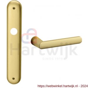 Mandelli1953 1300R Zante deurkruk gatdeel rechtswijzend op langschild 238x40 mm blind mat messing - H21015464 - afbeelding 1