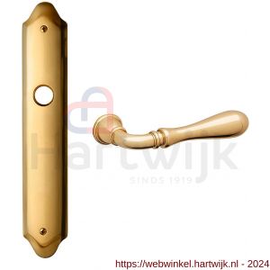 Mandelli1953 1420R Gou deurkruk gatdeel rechtswijzend op langschild 260x47 mm blind messing gepolijst - H21015548 - afbeelding 1