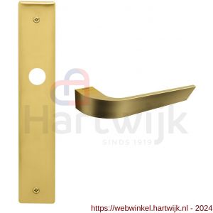 Mandelli1953 1500R Nuria deurkruk gatdeel rechtswijzend op langschild 240x40 mm blind mat messing - H21015436 - afbeelding 1
