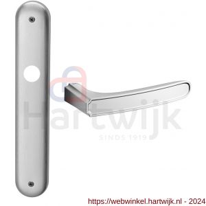 Mandelli1953 1880 Frame deurkruk op langschild blind mat chroom-chroom - H21019365 - afbeelding 1