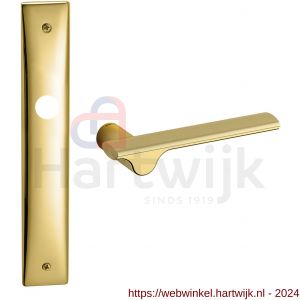 Mandelli1953 3190 Ara deurkruk op langschild blind mat messing-messing gepolijst - H21019497 - afbeelding 1