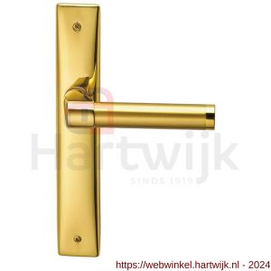 Mandelli1953 360R Tuc deurkruk gatdeel rechtswijzend op langschild blind messing gepolijst-mat messing - H21017715 - afbeelding 1