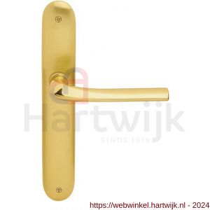 Mandelli1953 720R Filo deurkruk gatdeel rechtswijzend op langschild 238x40 mm BB56 mat messing-messing gepolijst - H21015507 - afbeelding 1