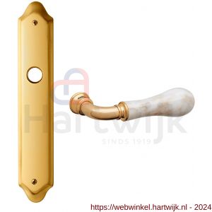 Mandelli1953 8010 WC55/8 Naxos deurkruk op langschild WC55/8 messing gepolijst - H21019768 - afbeelding 1
