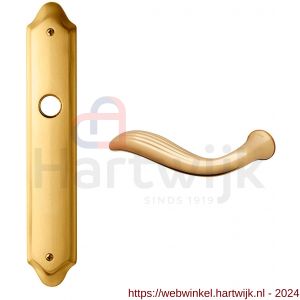 Mandelli1953 980L Plisse deurkruk gatdeel linkswijzend op langschild 260x47 mm blind messing gepolijst-mat messing - H21015651 - afbeelding 1