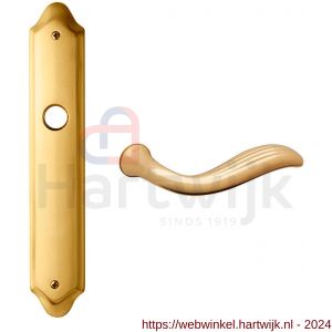 Mandelli1953 980R Plisse deurkruk gatdeel rechtswijzend op langschild 260x47 mm blind messing gepolijst-mat messing - H21015658 - afbeelding 1