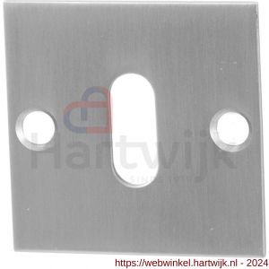 GPF Bouwbeslag RVS 0901.08 sleutelrozet plat vierkant 50x50x2 mm RVS mat geborsteld - H21003732 - afbeelding 1