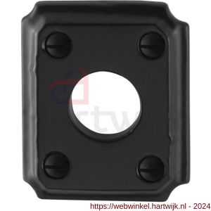 GPF Bouwbeslag Smeedijzer 6100.02 rozet rechthoekig 59x48x6 mm smeedijzer zwart - H21003628 - afbeelding 1