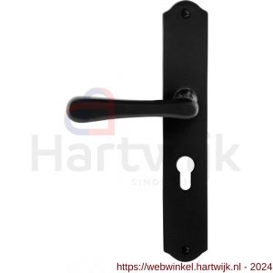 GPF Bouwbeslag Smeedijzer 6240.60L/R PC55 Paju deurkruk op schild 238x41x4 mm PC 55 mm links-rechtswijzend smeedijzer zwart - H21010422 - afbeelding 1