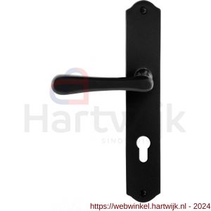 GPF Bouwbeslag Smeedijzer 6240.60L/R PC72 Paju deurkruk op schild 238x41x4 mm PC 72 mm links-rechtswijzend smeedijzer zwart - H21010423 - afbeelding 1