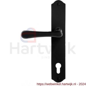 GPF Bouwbeslag Smeedijzer 6240.60L/R PC92 Paju deurkruk op schild 238x41x4 mm PC 92 mm links-rechtswijzend smeedijzer zwart - H21010425 - afbeelding 1