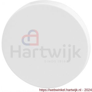 GPF Bouwbeslag Entree 6900VW blinde ronde rozet 53x6 mm wit egaal - H21011265 - afbeelding 1