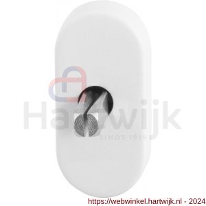 GPF Bouwbeslag ZwartWit 8100.53EL draaikiepmechanisme ovaal 65x30x12 mm met stift binnenzijde 40 mm wit - H21008127 - afbeelding 1