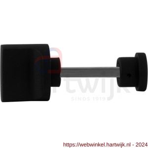 GPF Bouwbeslag ZwartWit 8111.61 toiletstift 5 mm voor schild grote knop zwart - H21000282 - afbeelding 1