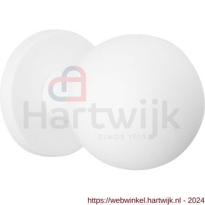 GPF Bouwbeslag ZwartWit 8822.62 kogel voordeurknop 63 mm op rozet 63 mm wit - H21000314 - afbeelding 1