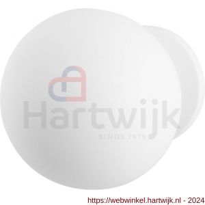 GPF Bouwbeslag ZwartWit 8824.62 kogel voordeurknop 100 mm op rozet 70 mm wit - H21007737 - afbeelding 1