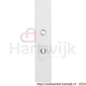 GPF Bouwbeslag ZwartWit 8842.62/55 veiligheids buitenschild SKG*** 248x52x11 mm rechthoekig kerntrekbeveiliging PC 55 mm massief wit - H21008585 - afbeelding 1
