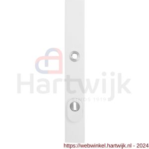GPF Bouwbeslag ZwartWit 8846.62/92 veiligheids buitenschild smal SKG*** 257x35x11 mm rechthoekig kerntrekbeveiliging PC 92 mm massief wit - H21008597 - afbeelding 1