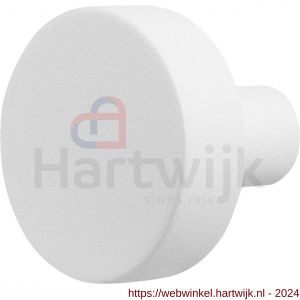 GPF Bouwbeslag ZwartWit 8853.62 S5 vlakke knop 52x16 mm voor veiligheids schilden vast met wisselstift wit - H21008598 - afbeelding 1