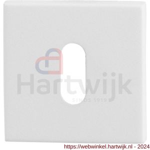 GPF Bouwbeslag ZwartWit 8901.42 sleutelrozet vierkant 50x50x8 mm wit - H21003741 - afbeelding 1