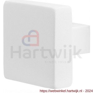 GPF Bouwbeslag ZwartWit 8950.62 S2 vierkante knop 60x60x16 mm vast met knopvastzetter wit - H21010491 - afbeelding 1