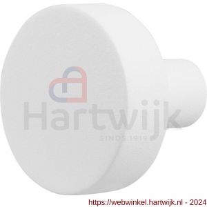GPF Bouwbeslag ZwartWit 8952.62 S2 vlakke knop 52x16 mm vast met knopvastzetter wit - H21003110 - afbeelding 1